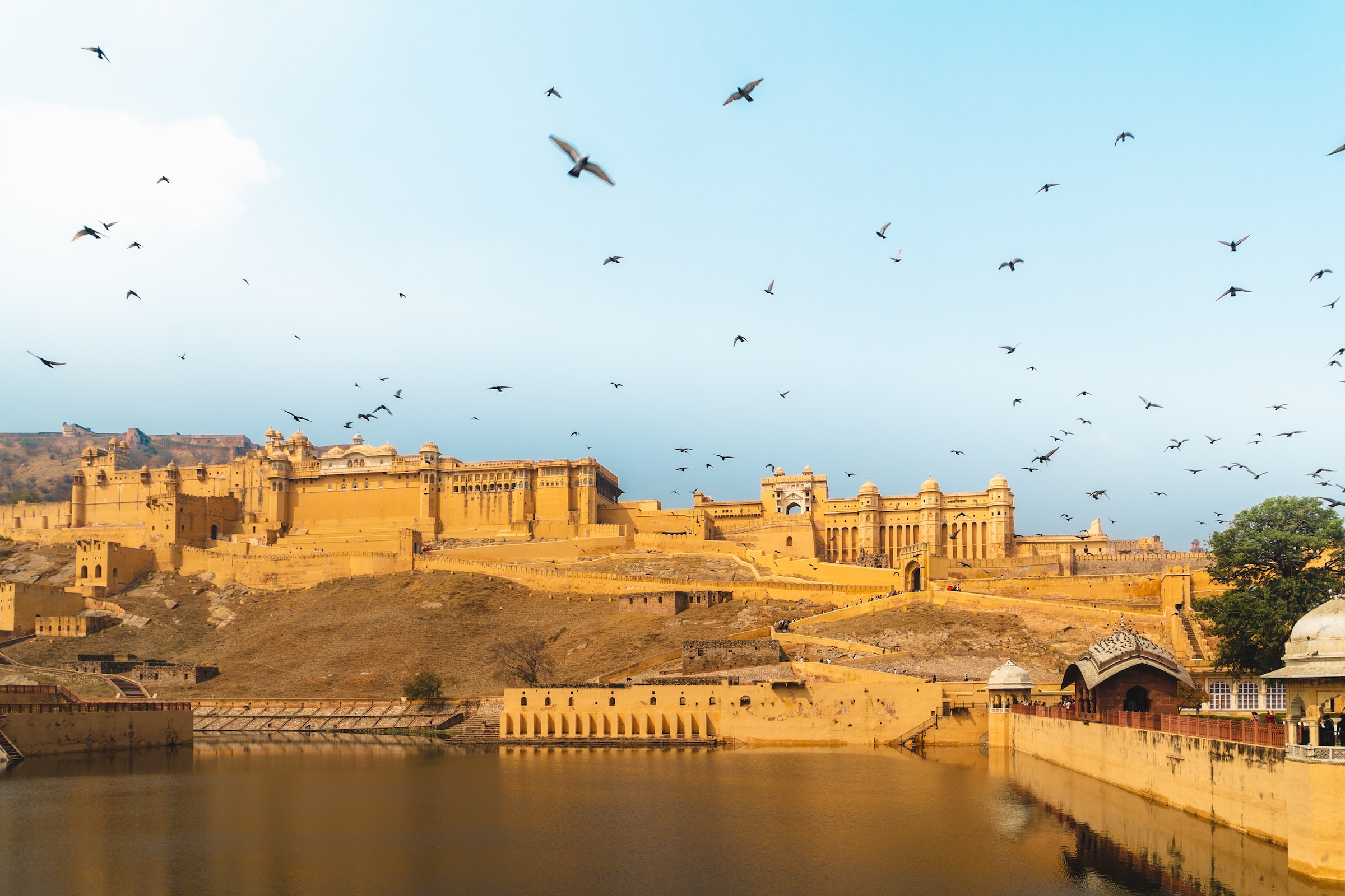 Amber Fort, Jaipur, Rajasthan, India