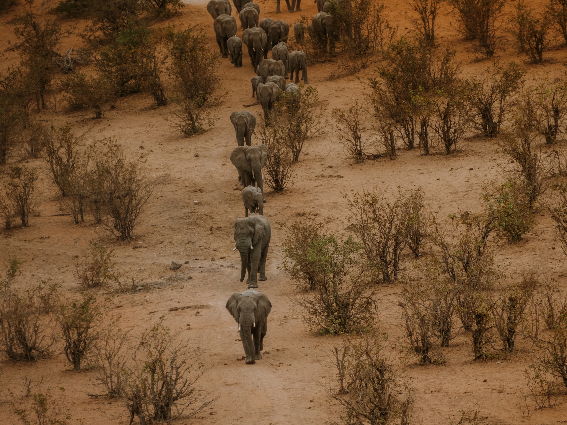 Hwange National Park, Zimbabwe3