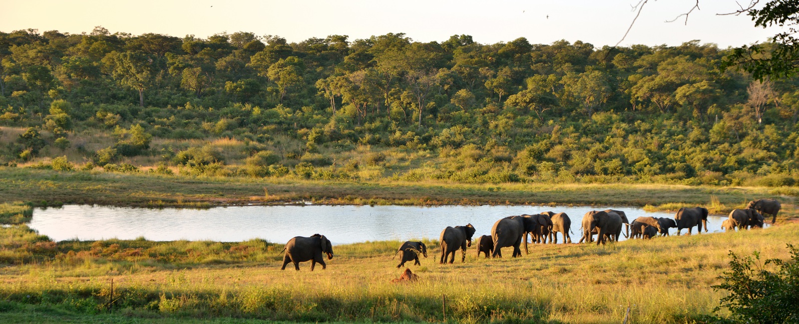 Hwange National Park