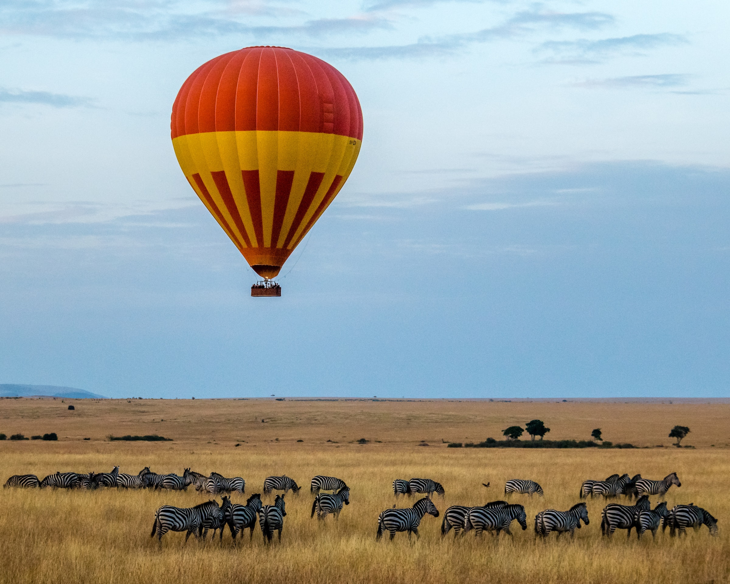 Masai Mara National Reserve, Kenya 3