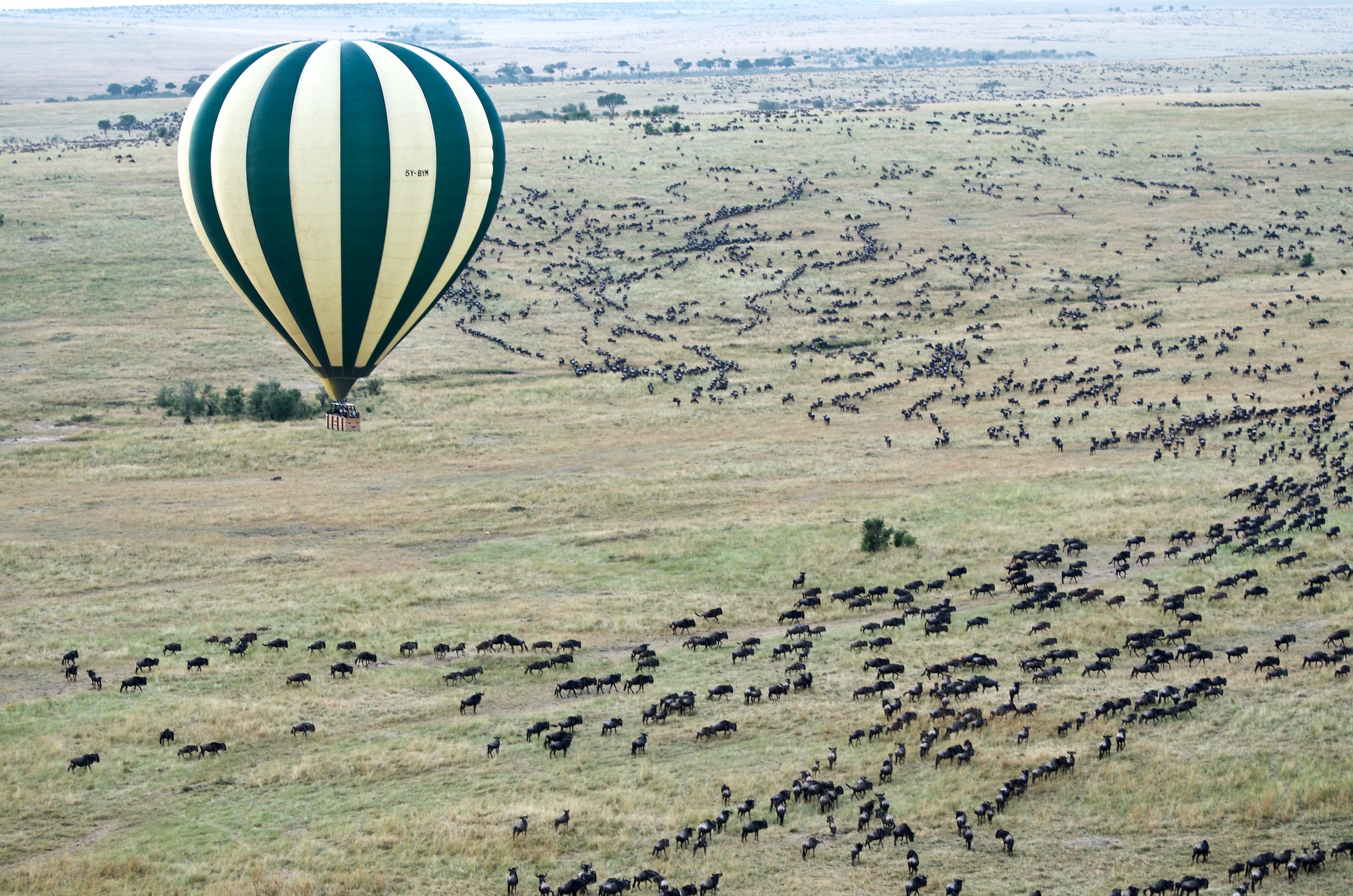 Masai Mara National Reserve, Kenya5