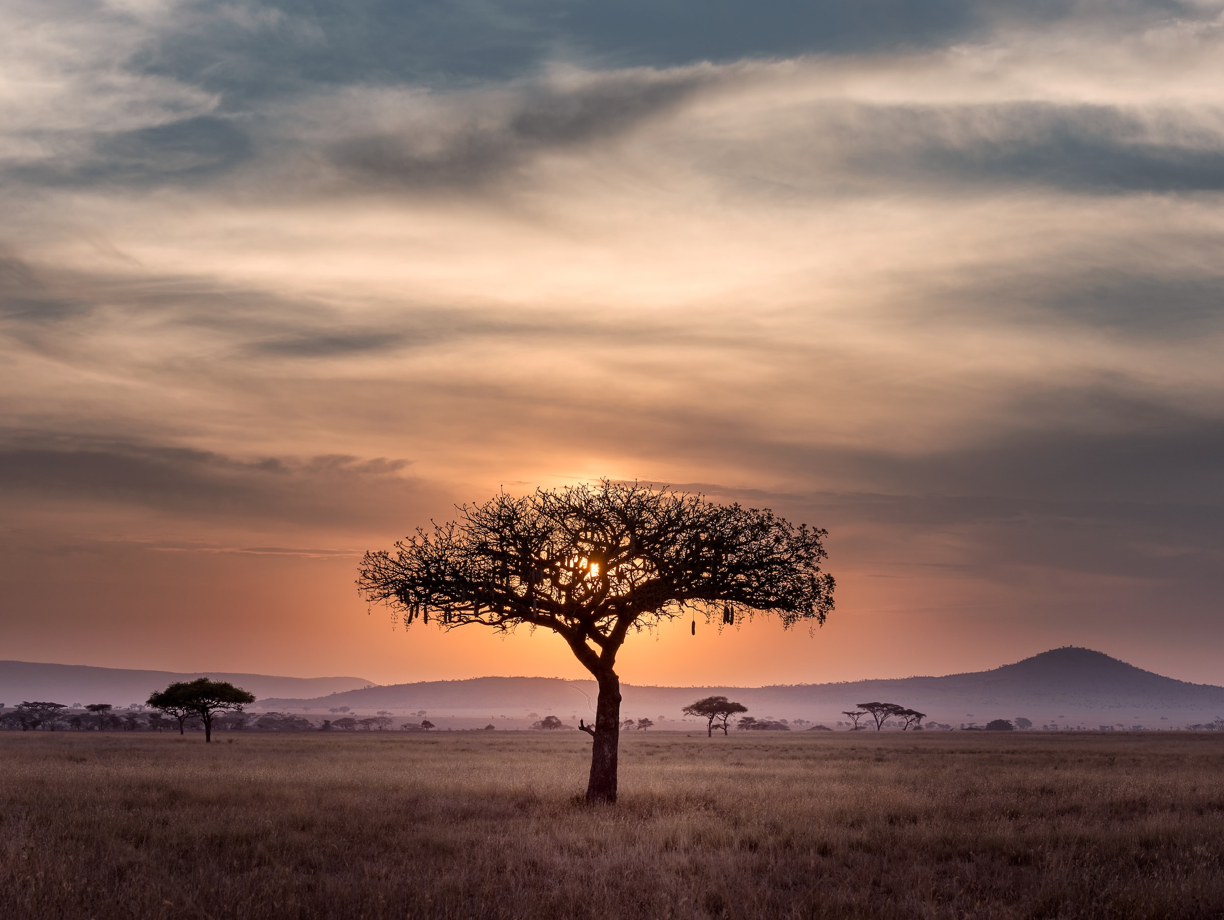 Serengeti, Tanzania 2