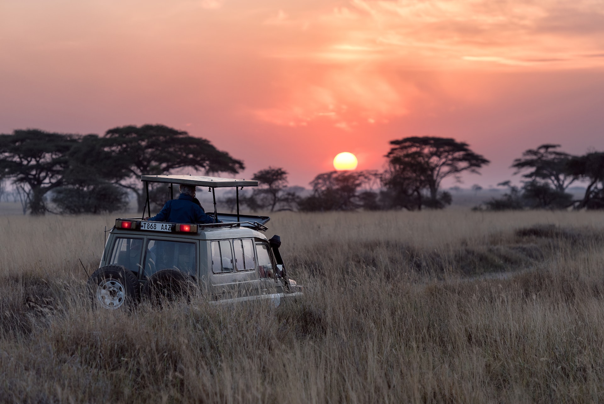 Serengeti, Tanzania