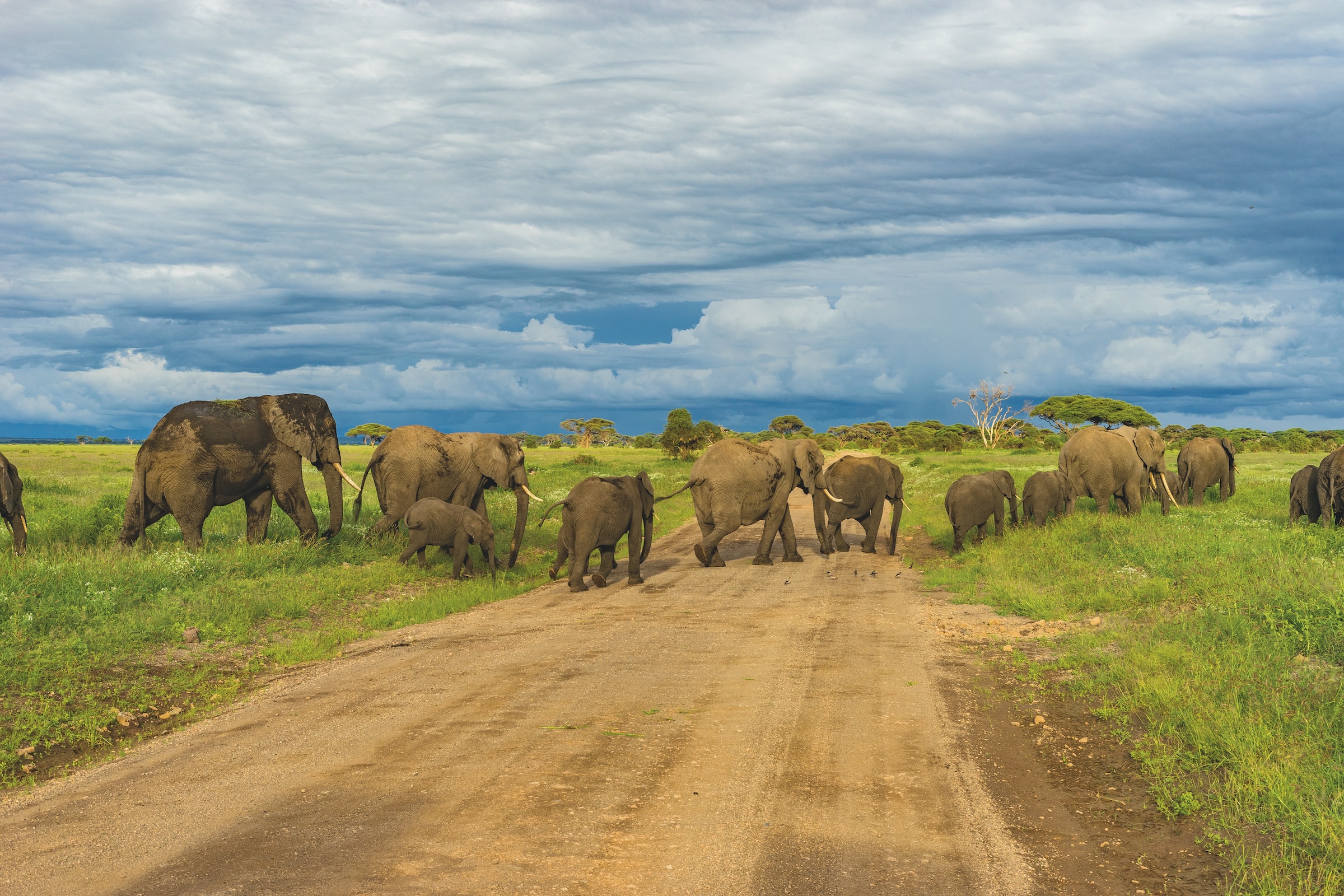 Tanzania