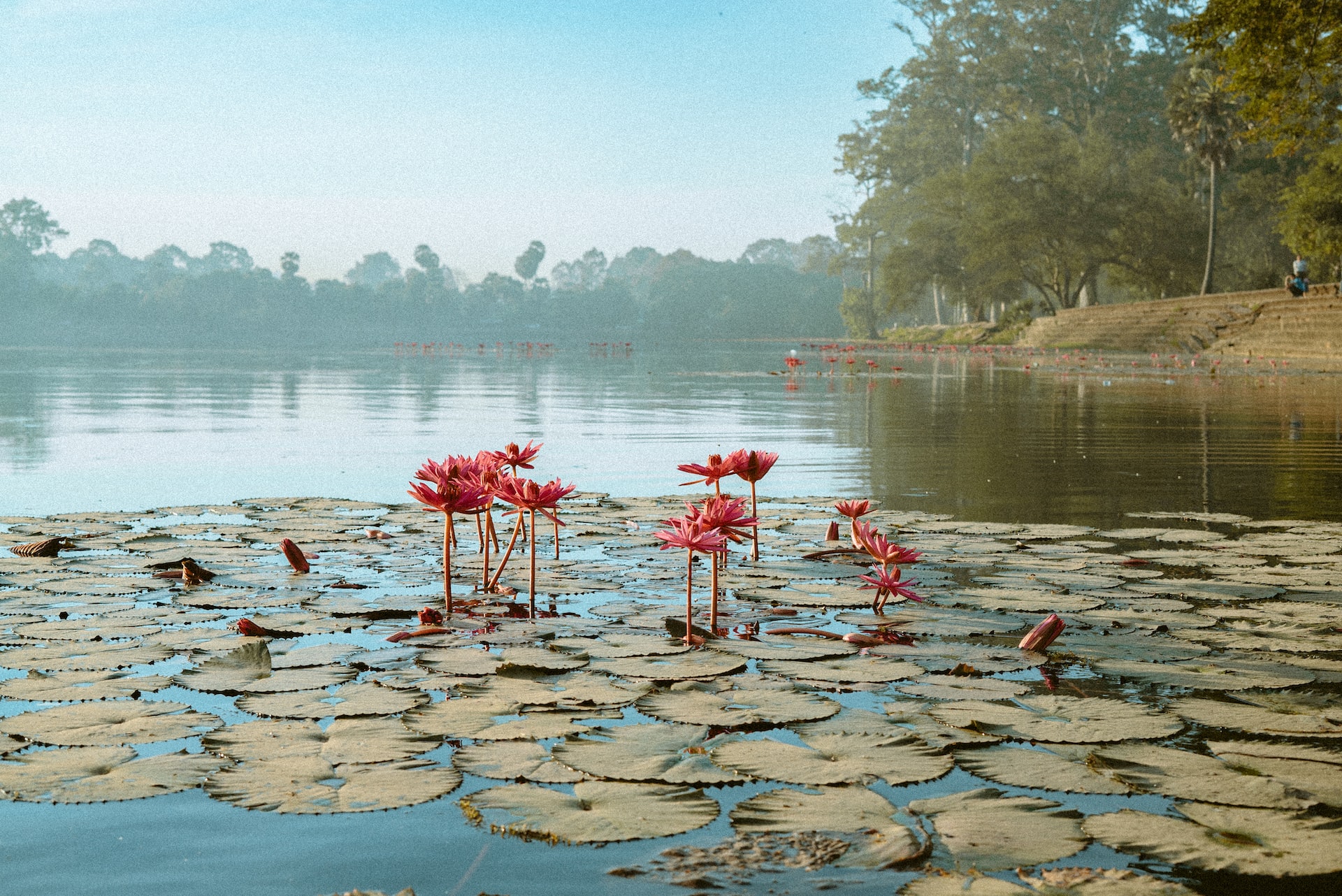 Angkor Wat, Krong Siem Reap, Cambodia4