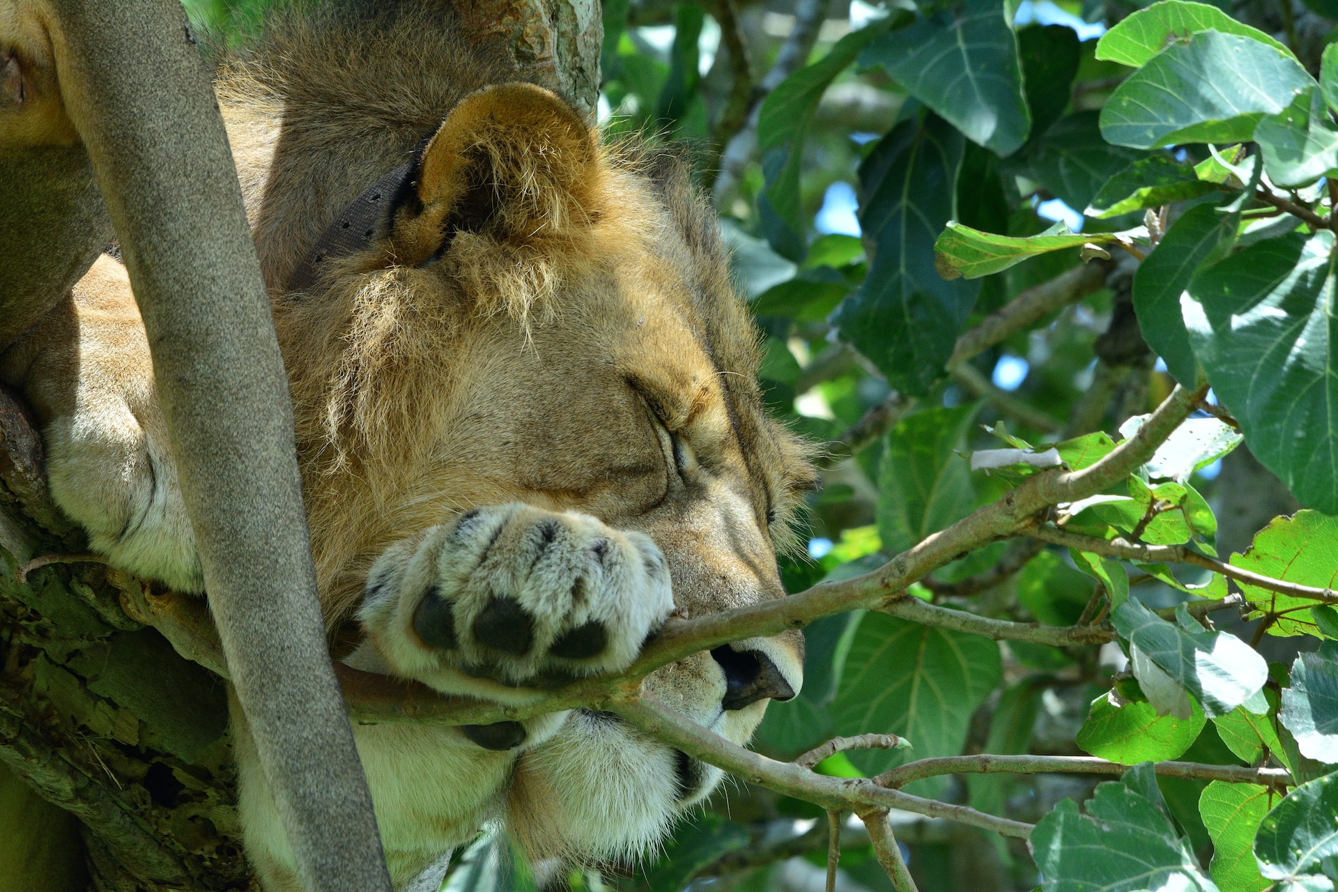 Queen Elizabeth National Park, Kasese, Uganda3